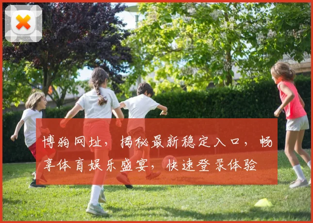博狗网址，揭秘最新稳定入口，畅享体育娱乐盛宴，快速登录体验
