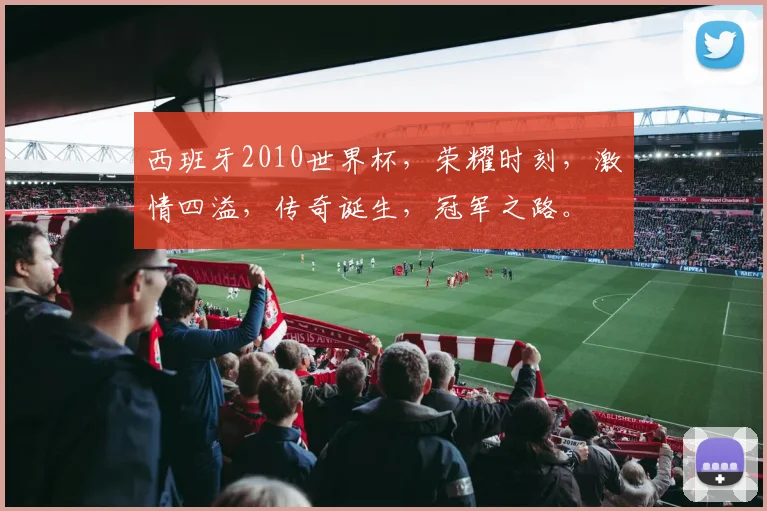 西班牙2010世界杯，荣耀时刻，激情四溢，传奇诞生，冠军之路。