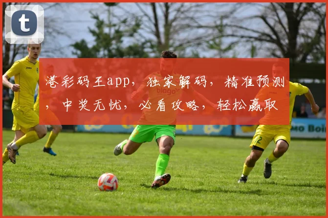 港彩码王app，独家解码，精准预测，中奖无忧，必看攻略，轻松赢取大奖